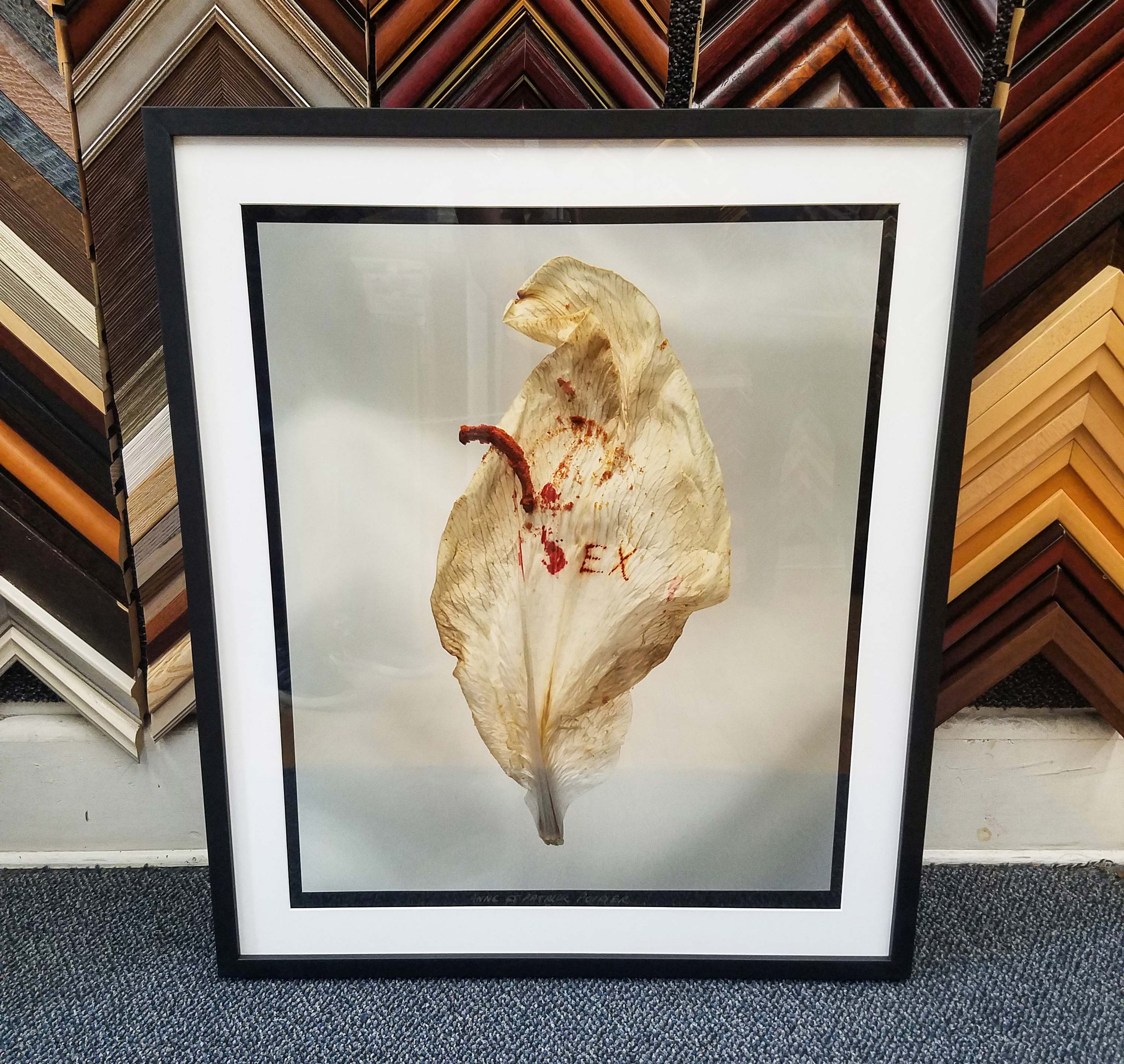 An abstract botanical fine-art photograph in a black frame