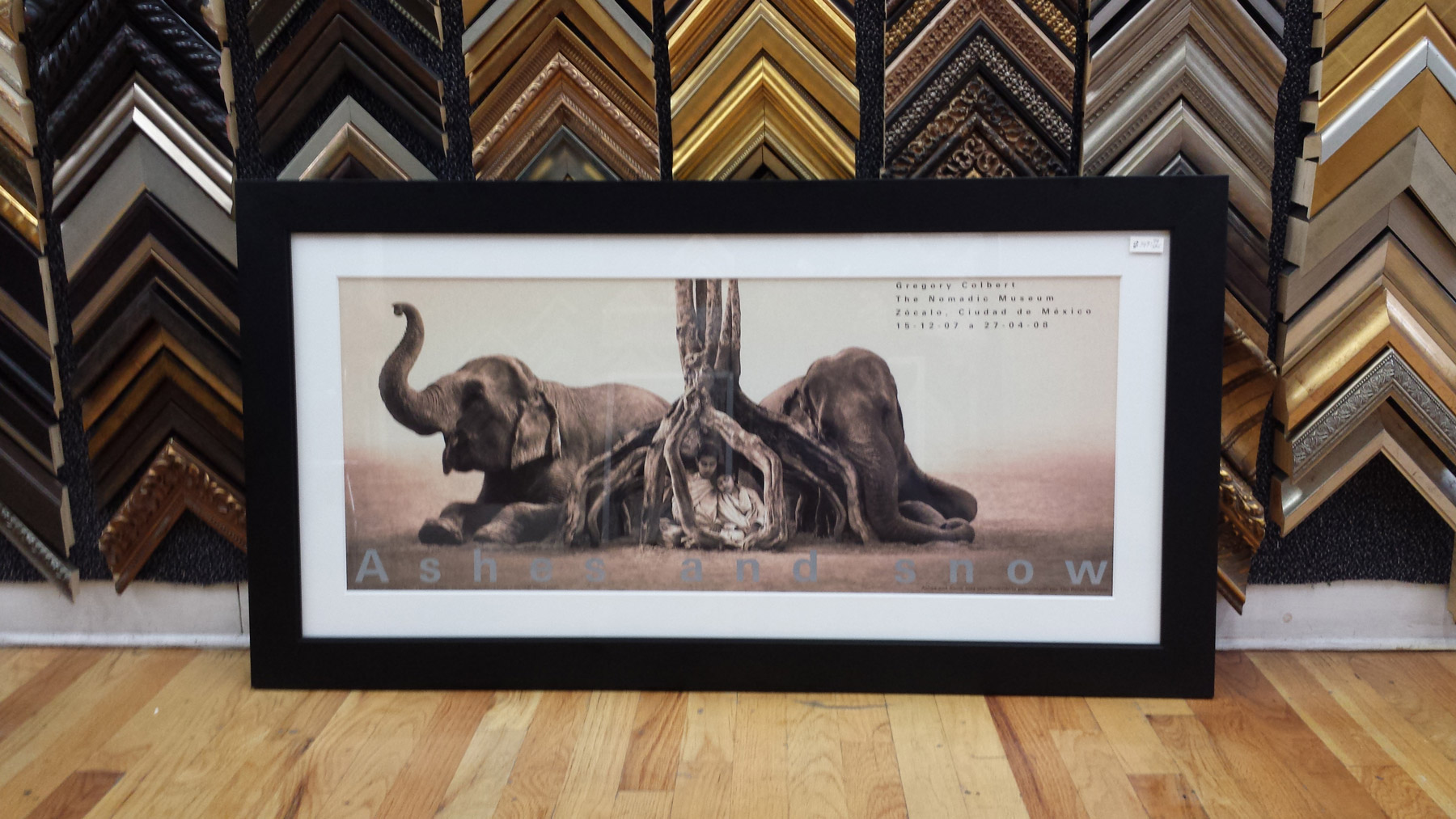 An Ashes and Snow elephant poster framed in black against a wall of moulding samples